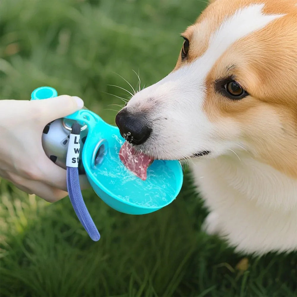 PawDrop – Die Trinkflasche für unterwegs